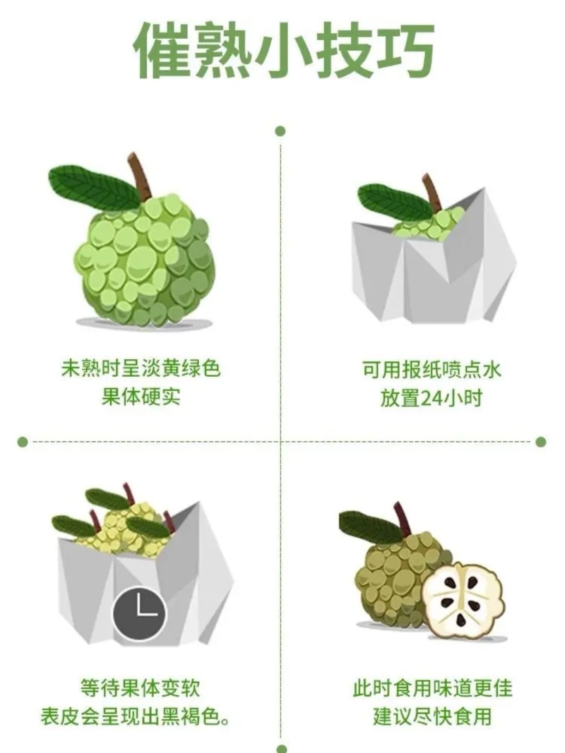 当季水果广西凤梨释迦果可对接市场电商果礼盒定制