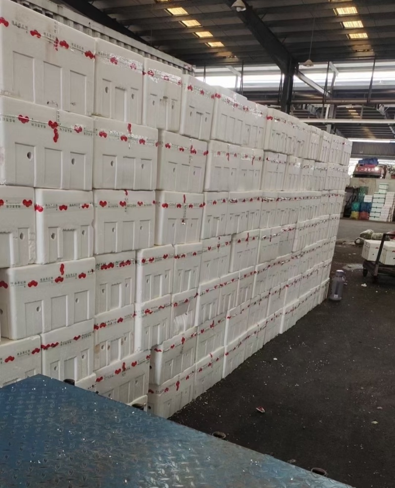 大红西红柿（云南精品西红柿）量大从优，可视频看货代发全国