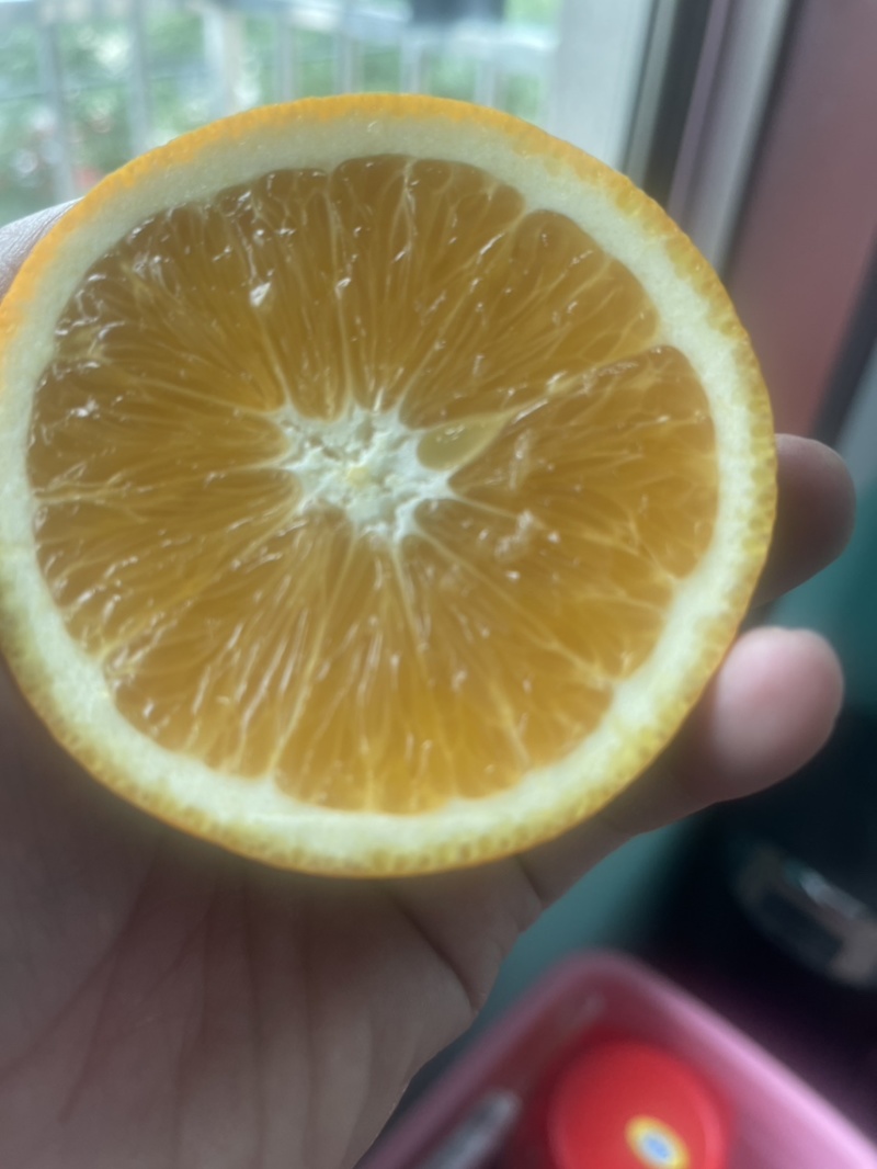 奉节脐橙大量上市产地直发一手货源品质保障