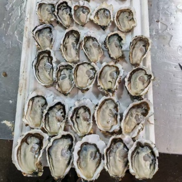现场验货