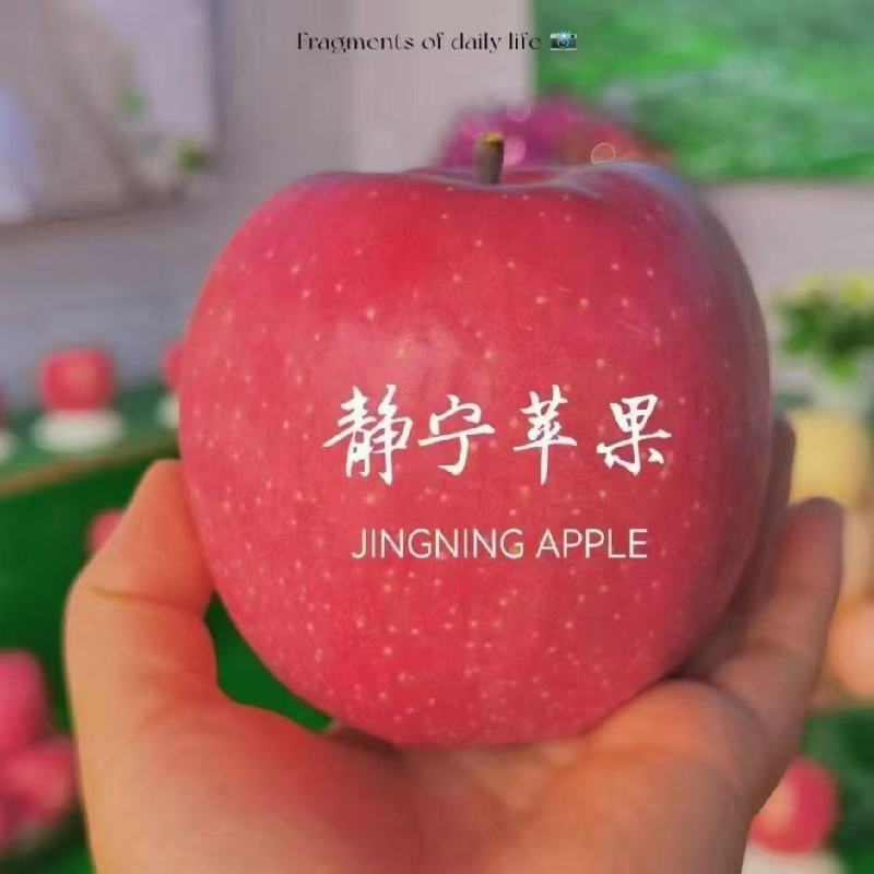 甘肃静宁苹果脆甜多汁