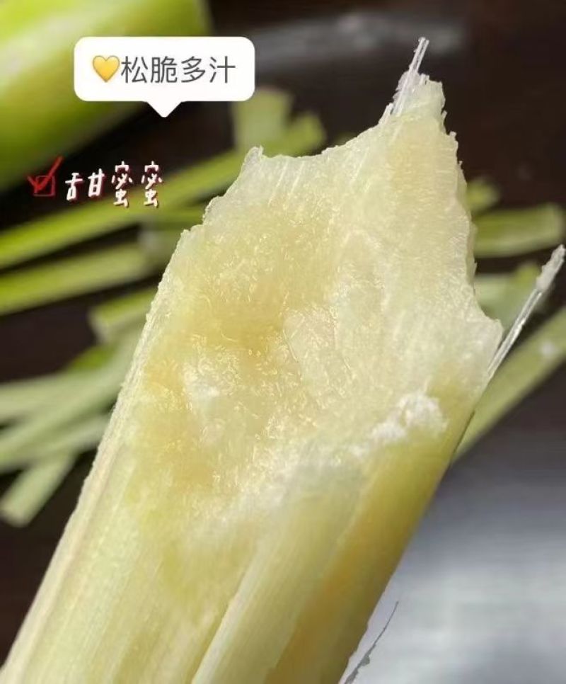 云南黄金甘蔗，大量上市出货中，甘甜爽口，对接全国市场！