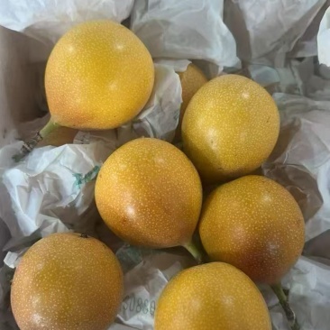 热情果