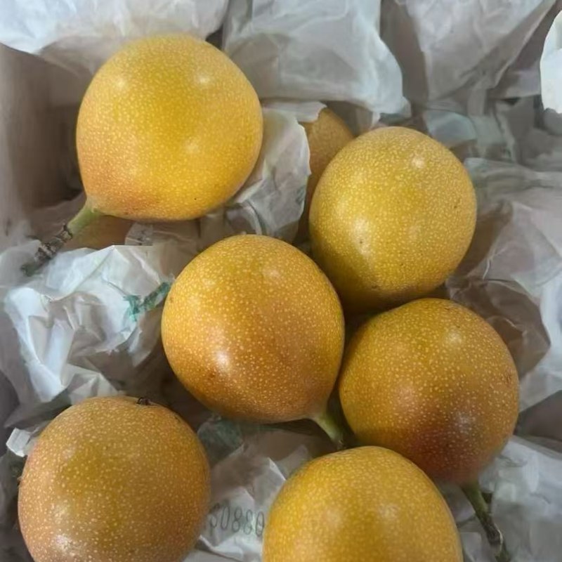 热情果