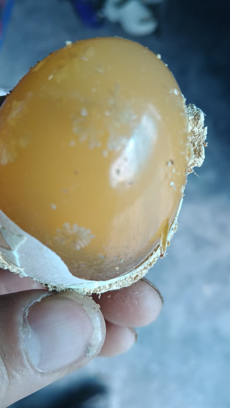 皮蛋鸭皮蛋厂家直销