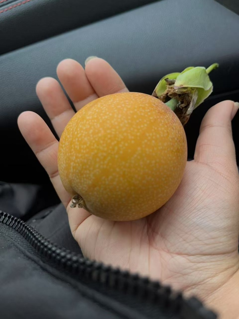 热情果