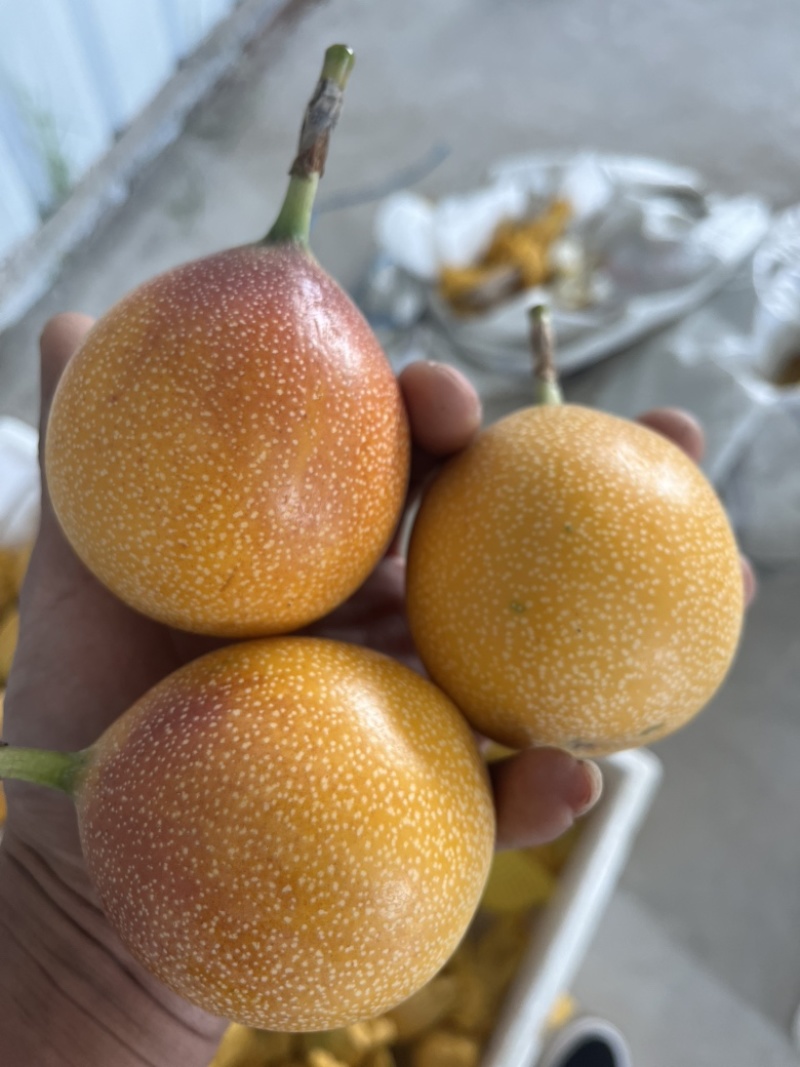 热情果