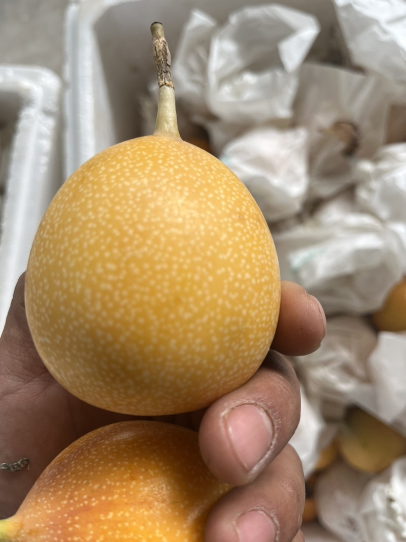 热情果