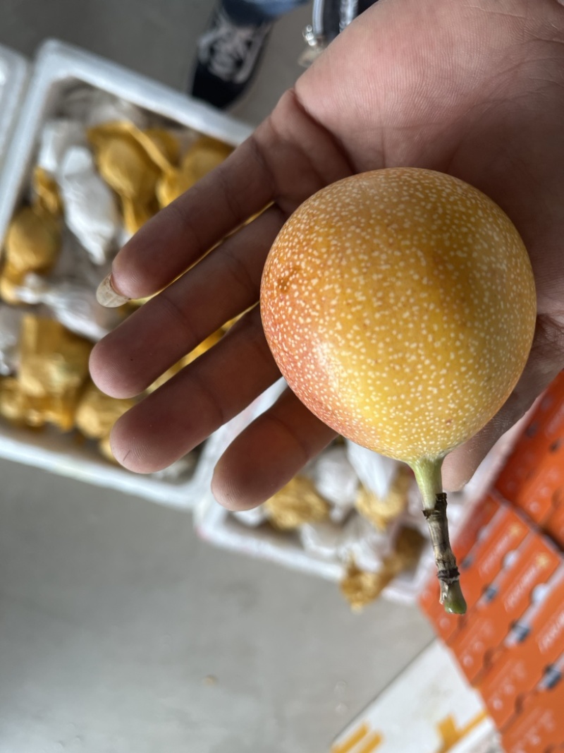 热情果