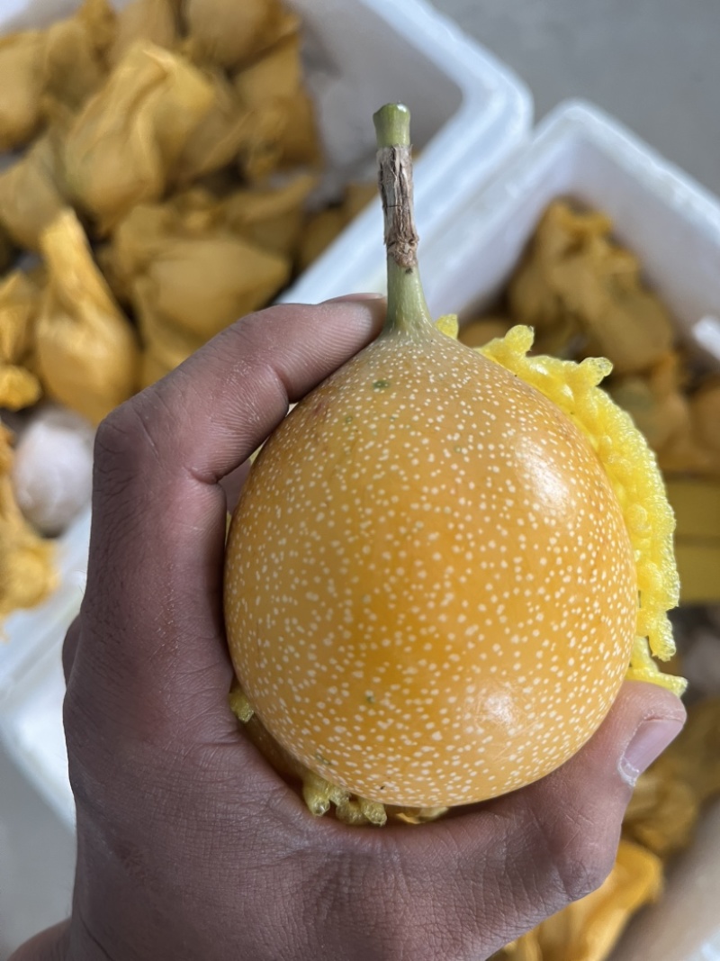 热情果
