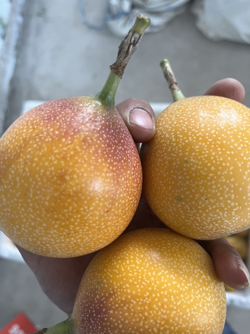 热情果