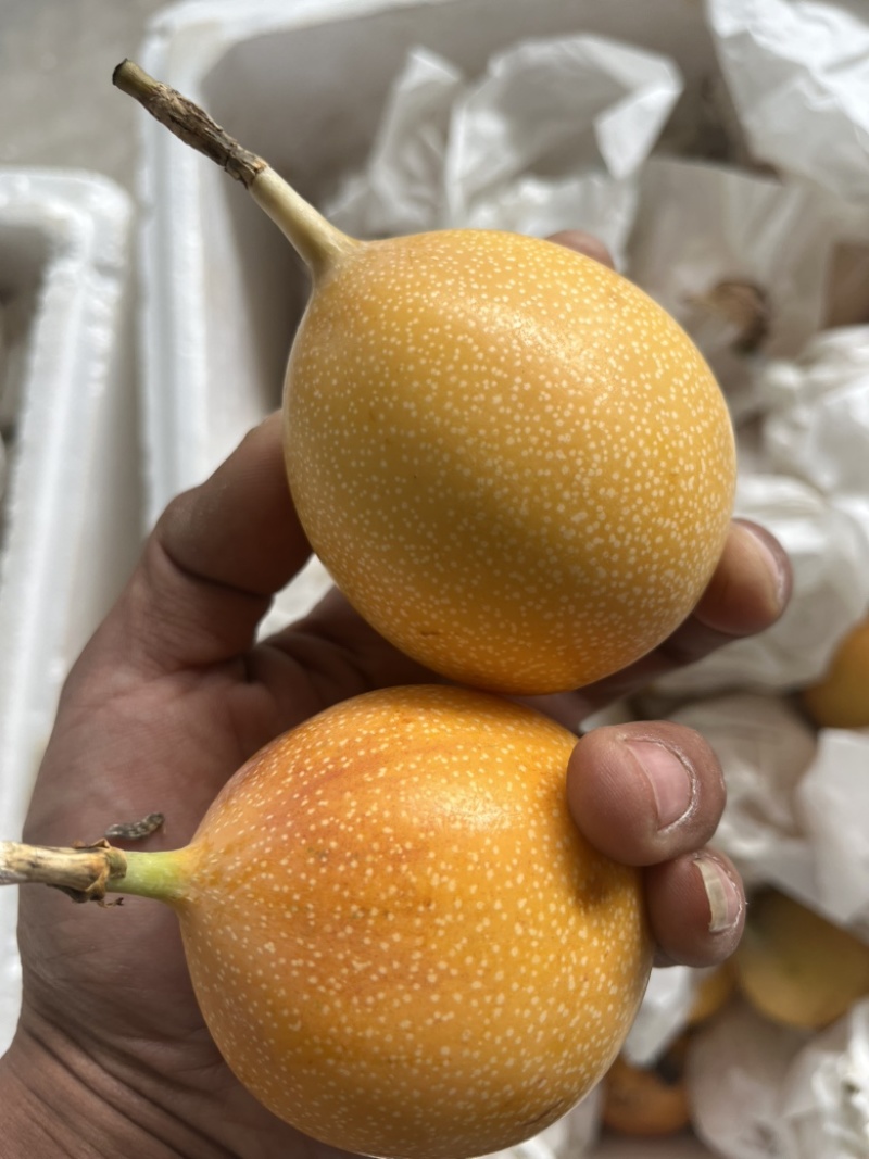 热情果