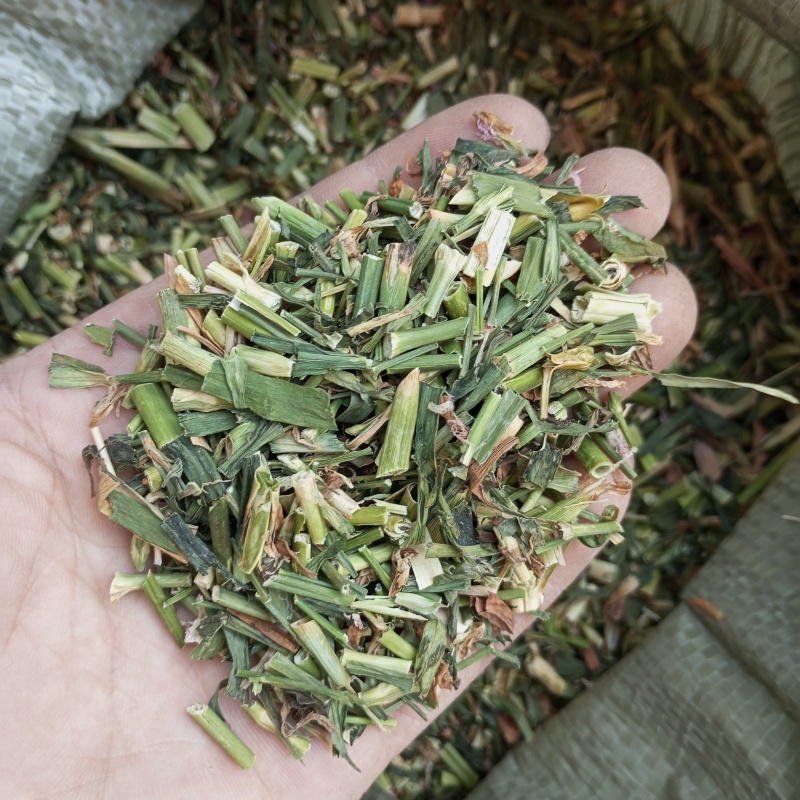 瞿麦产地直供支持线上交易各种规格接受订单