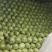 菏泽中甘甘蓝货量大不烧心烧边无虫眼卖相好大小规格都有按需