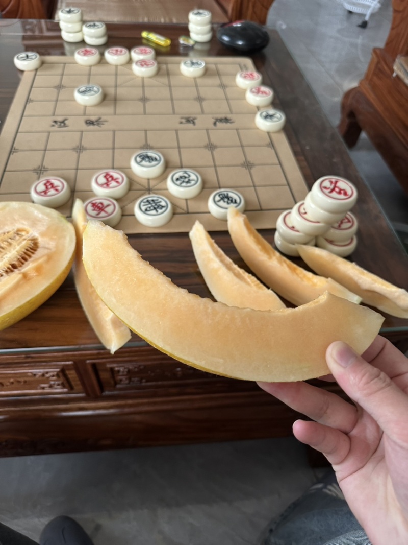 哈密瓜大量上市