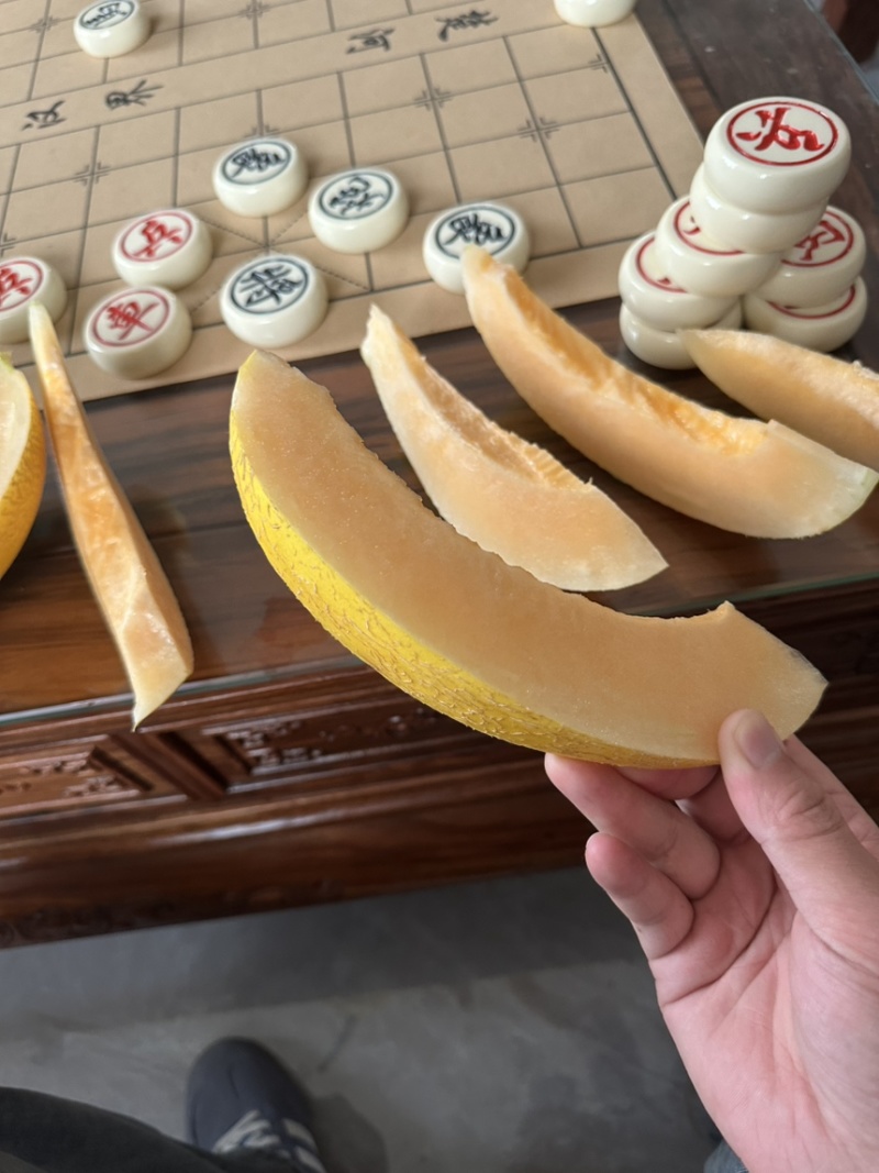 哈密瓜大量上市