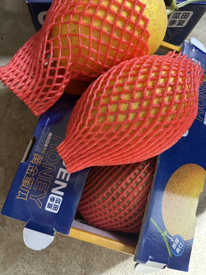 哈密瓜大量上市