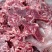 满肉羊蝎子，一件20斤