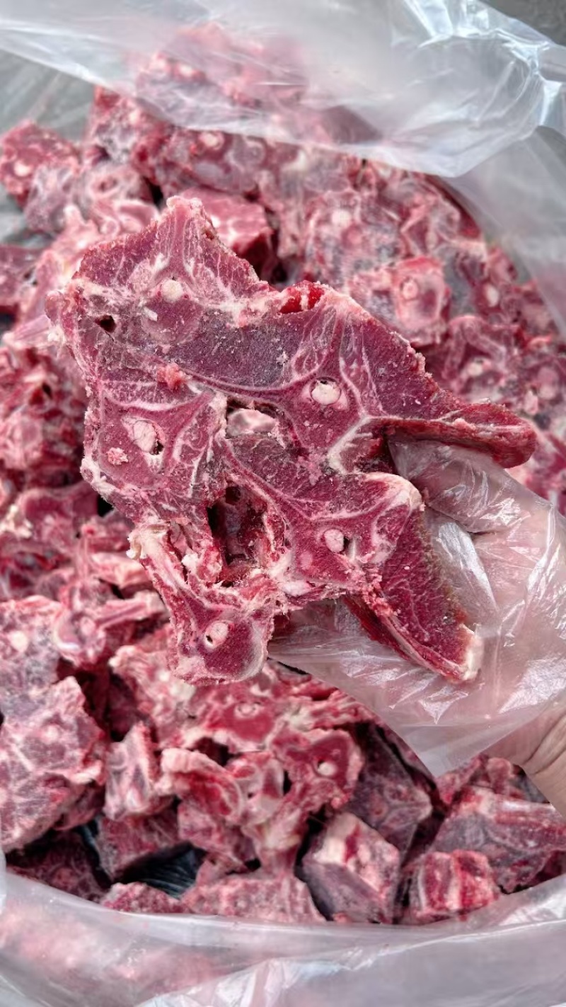 满肉羊蝎子，一件20斤
