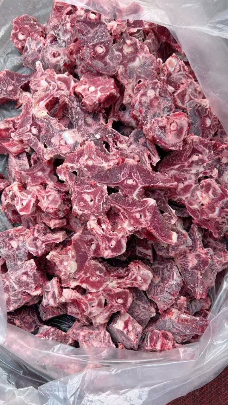 满肉羊蝎子，一件20斤