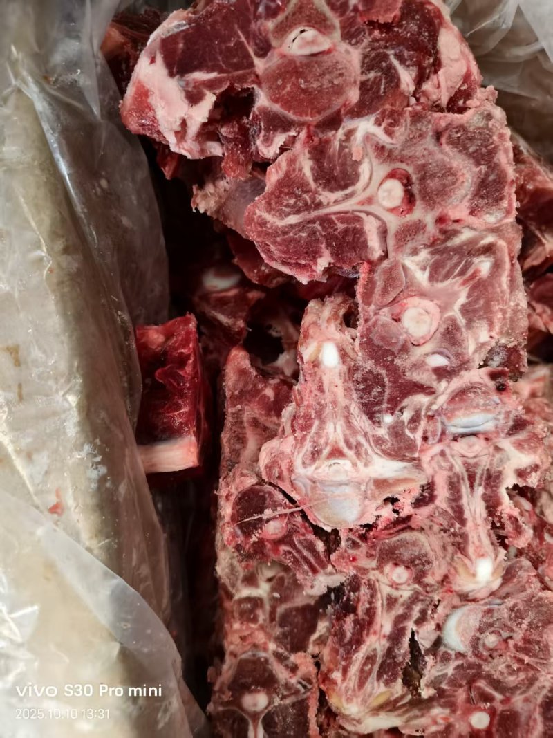 内蒙多肉羊蝎子20斤箱