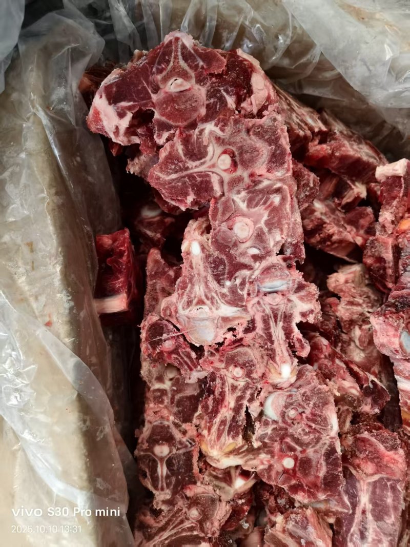 内蒙多肉羊蝎子20斤箱