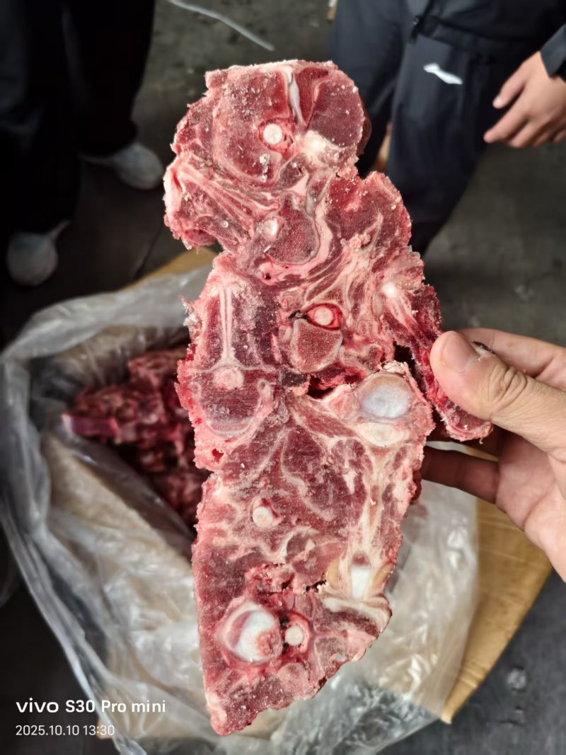 内蒙多肉羊蝎子20斤箱