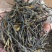 经典58高品质红茶厂家清仓换钱，全国发货