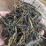 经典58高品质红茶厂家清仓换钱，全国发货