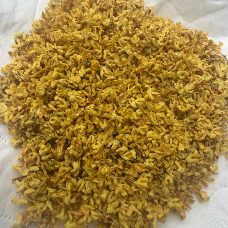 广西桂林阳朔特级干桂花