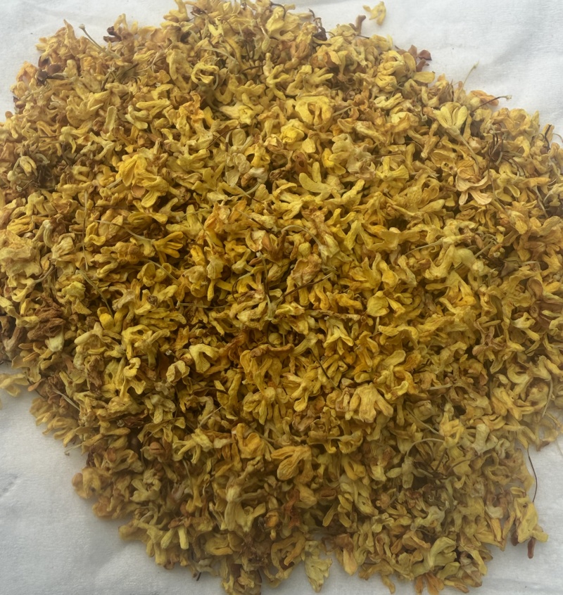 广西桂林阳朔特级干桂花