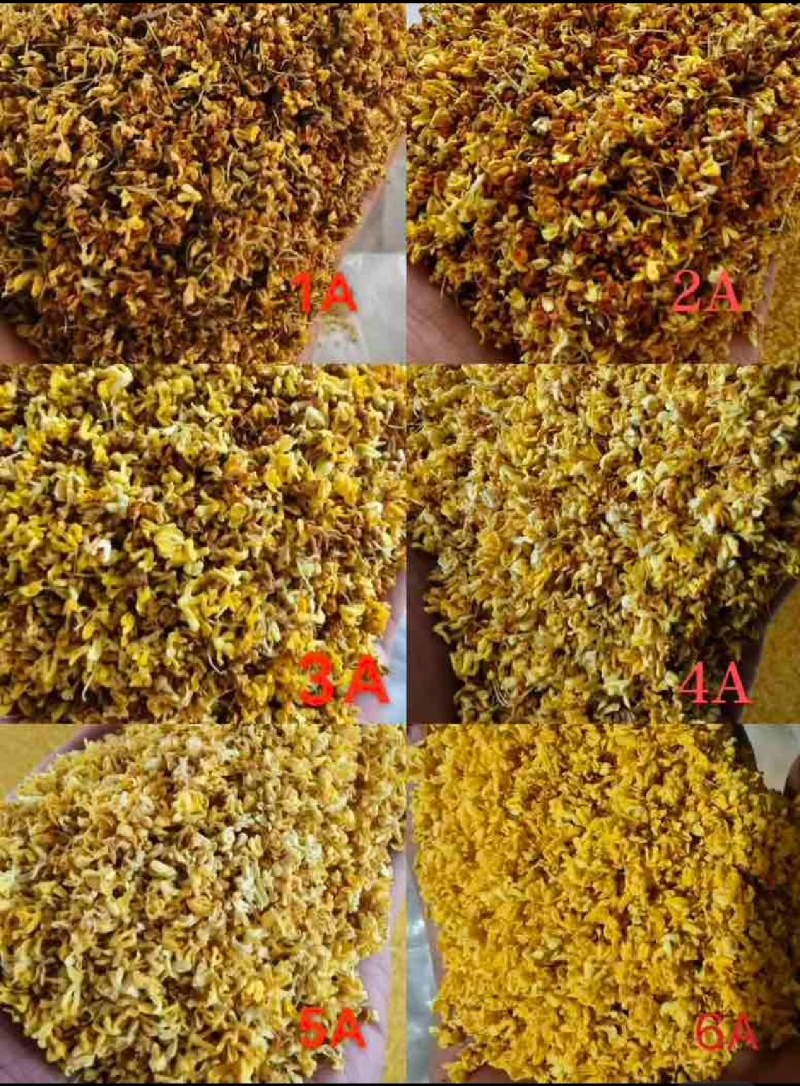 广西桂林阳朔特级干桂花