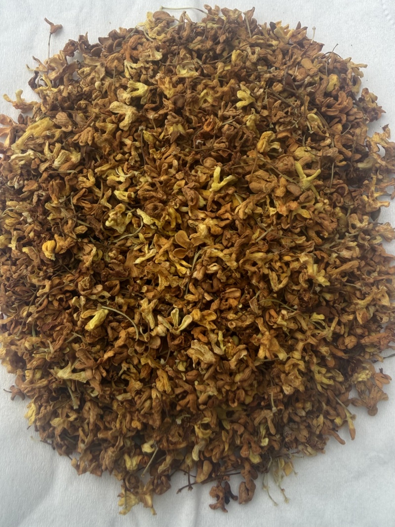 广西桂林阳朔特级干桂花