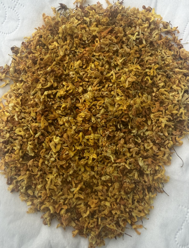 广西桂林阳朔特级干桂花