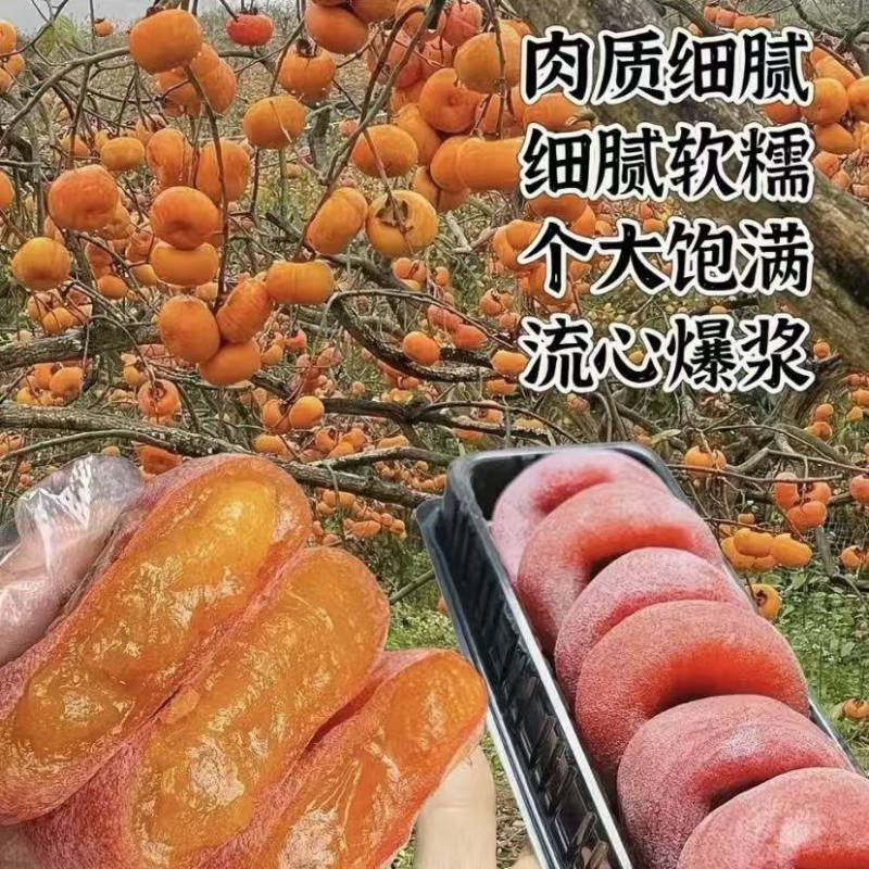 【百人回购】广西流心柿饼/恭城柿饼/电商团购一件代发便宜