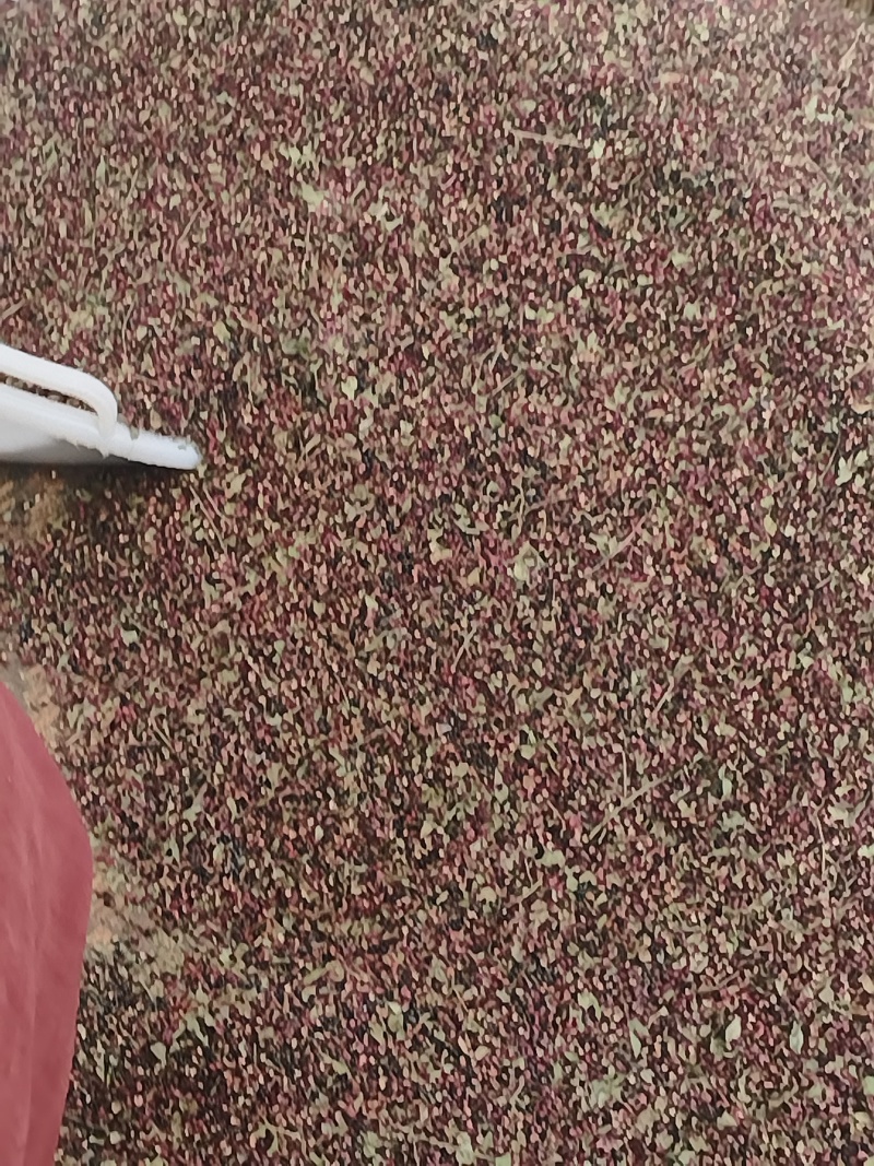 花椒