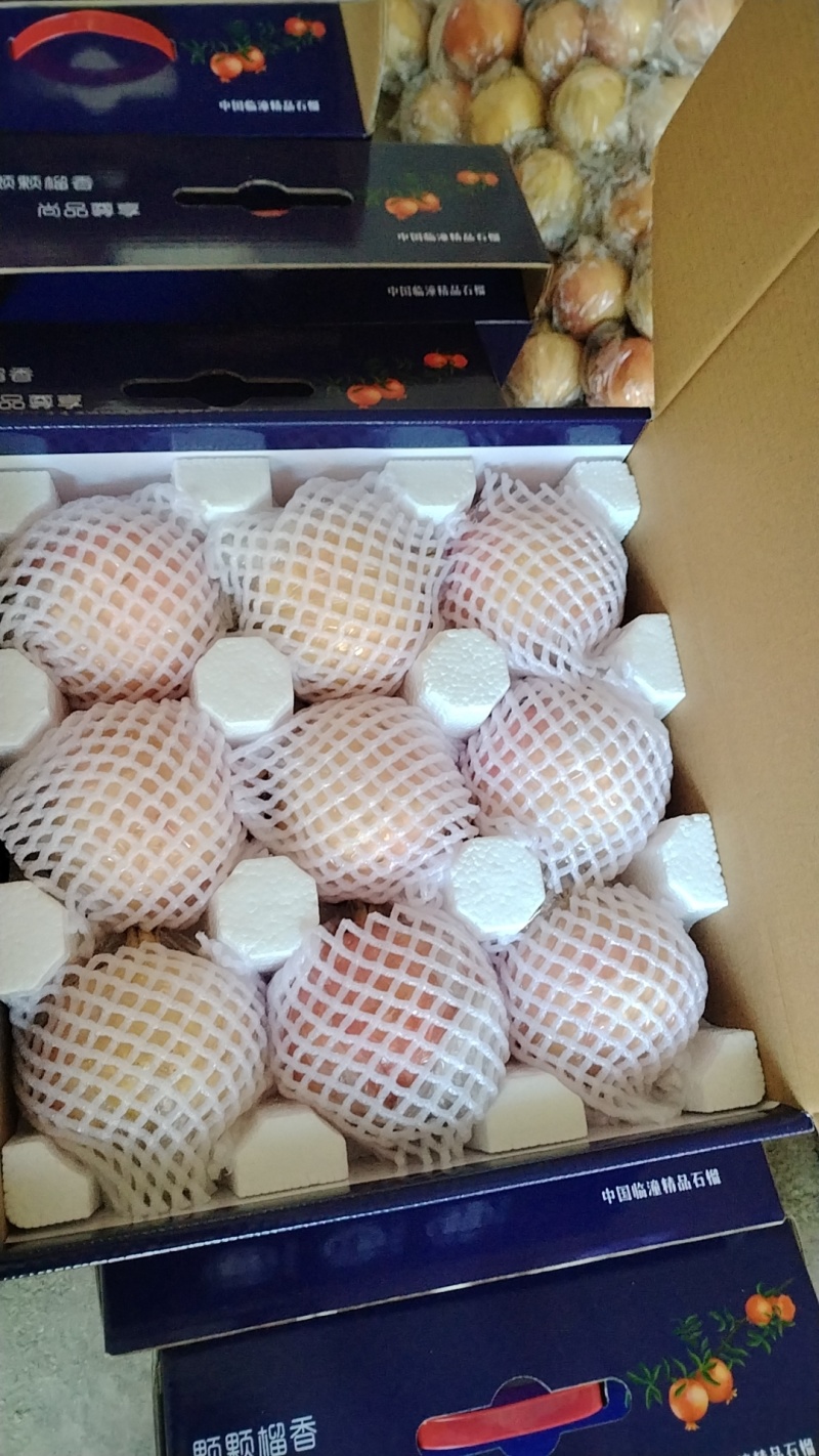 临潼硬仔石榴