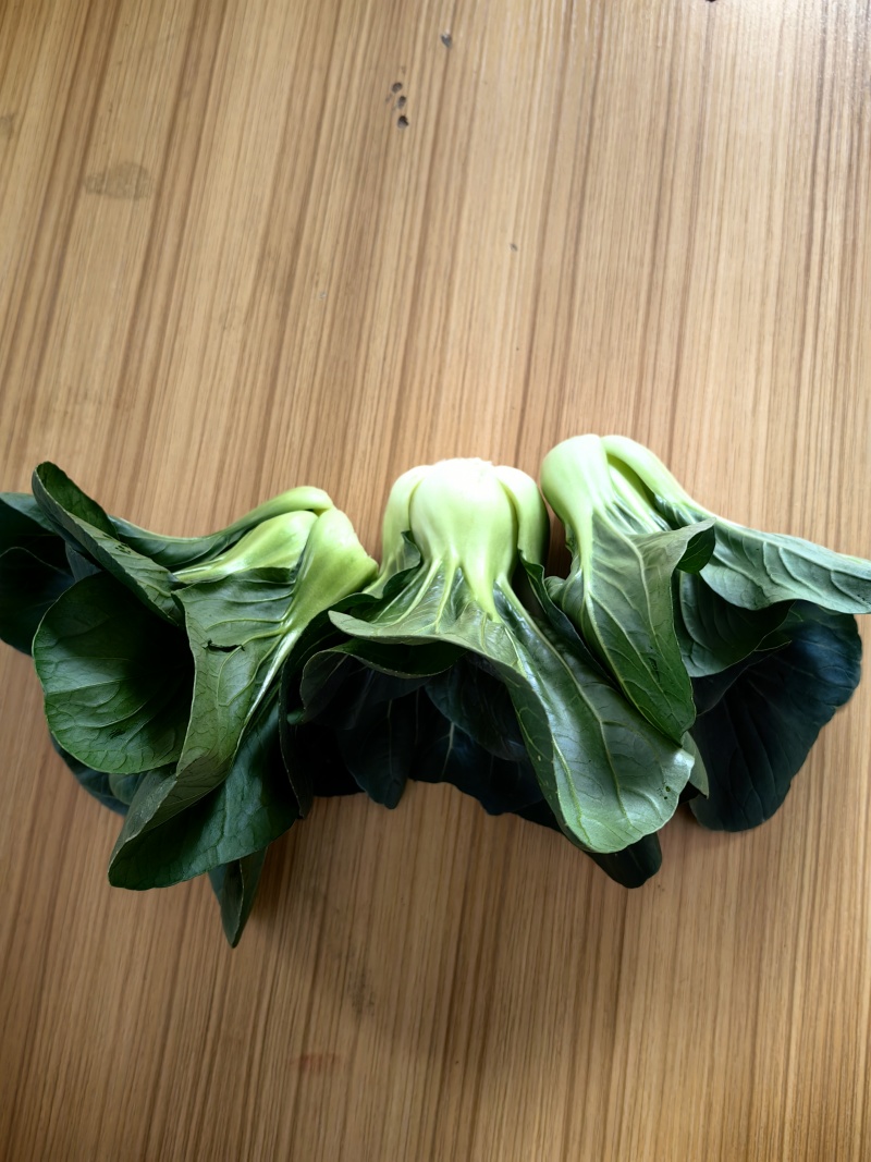 小青仔