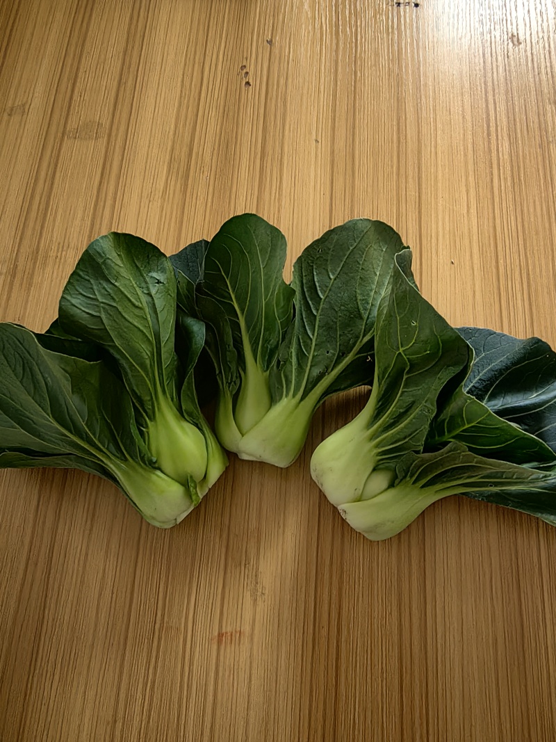 小青仔