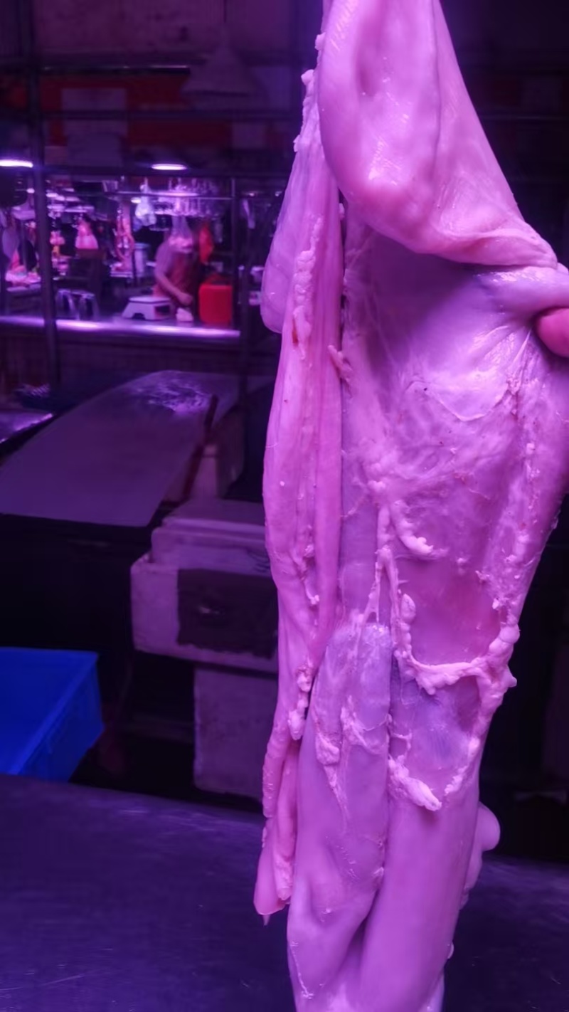 羊肚