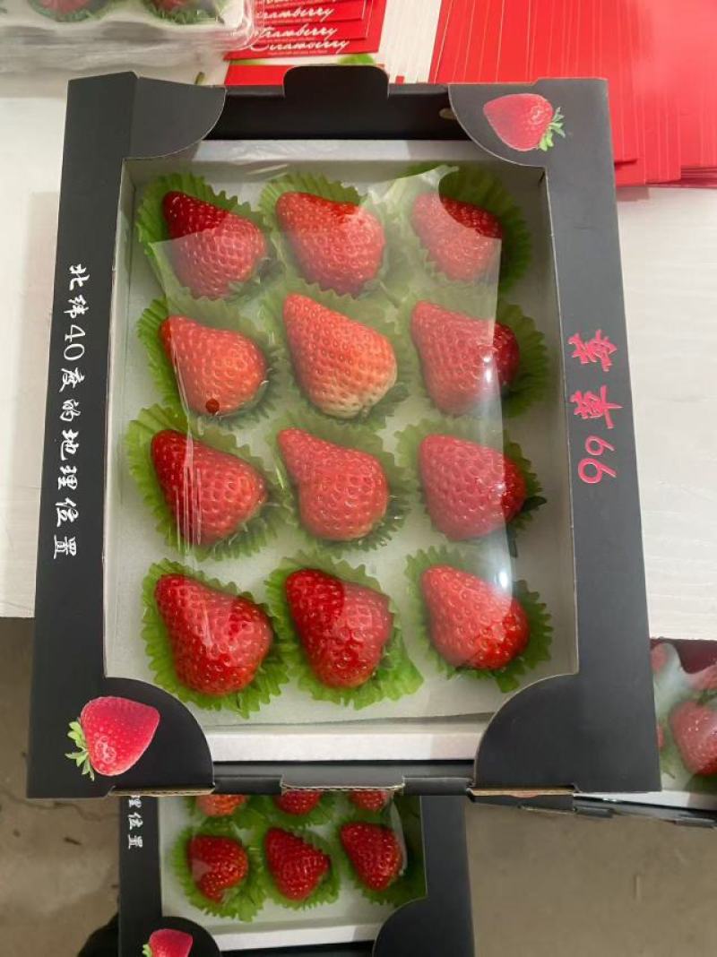 丹东九九草莓，红颜草莓大量上，产地直发，品质保证