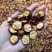新货山楂片物美价廉颜色好看有现货当天下单当天发