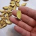 甘肃岷县黄芪片/品质保证/视频看货/量大优惠