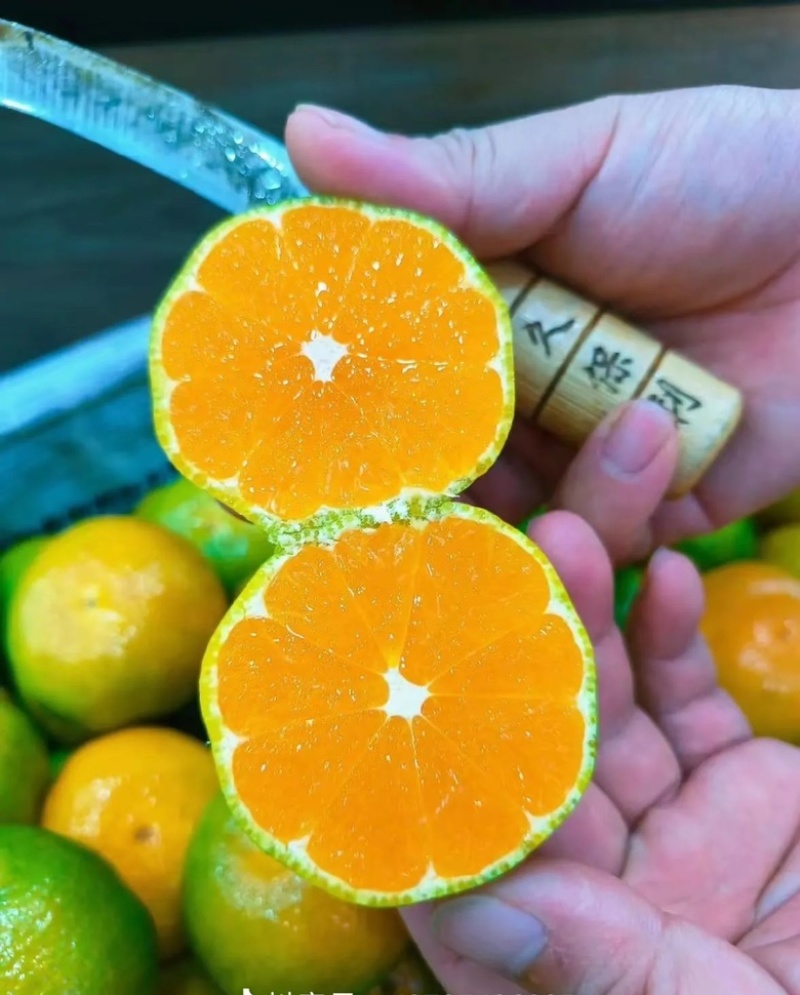 蜜橘湖北蜜橘口感甘甜供应电商商超档口一件代发