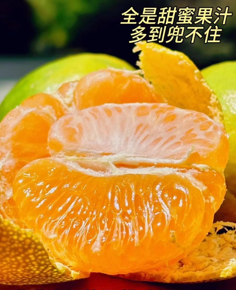 蜜橘湖北蜜橘口感甘甜供应电商商超档口一件代发