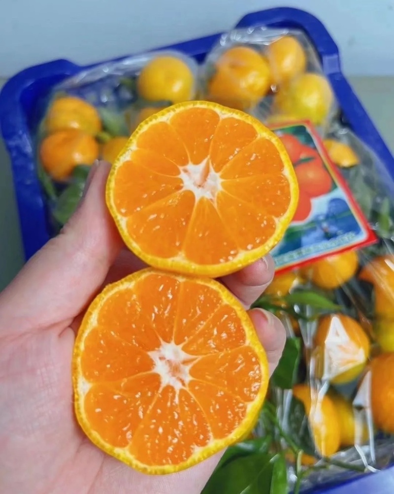 蜜橘子桔子皮薄肉厚汁多口感甜果皮好个头均匀