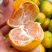 蜜橘子桔子皮薄肉厚汁多口感甜果皮好个头均匀