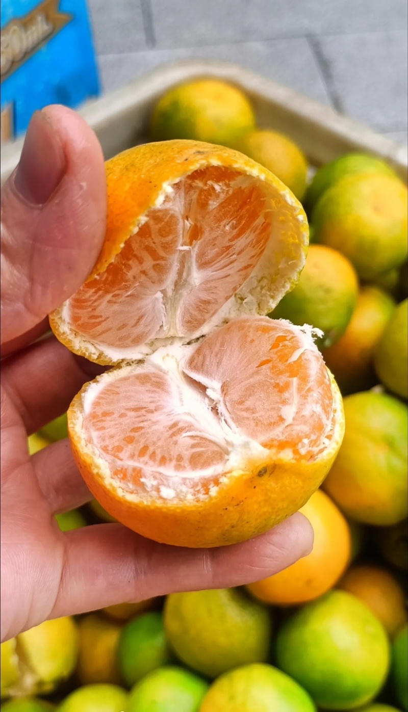 蜜橘子桔子皮薄肉厚汁多口感甜果皮好个头均匀