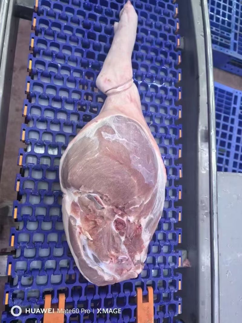 肥猪火腿