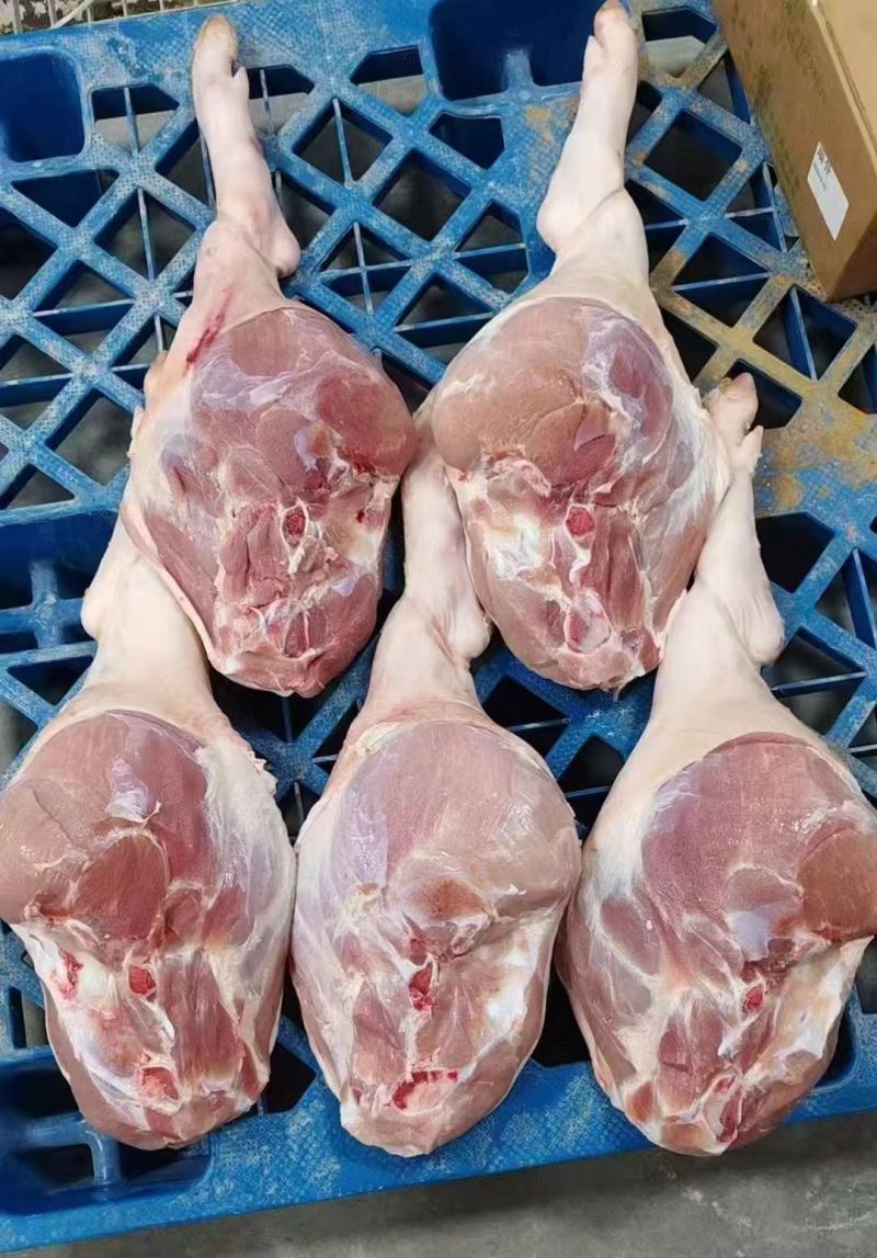 肥猪火腿